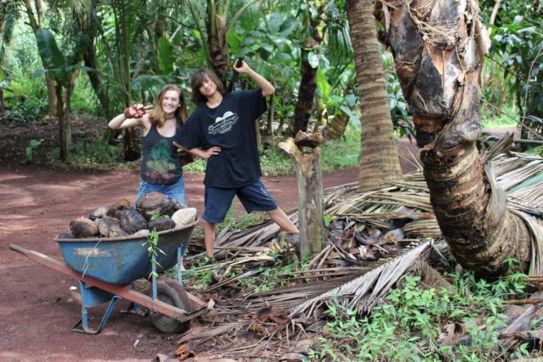 Paradise Eco Village Pahoa Bagian luar foto