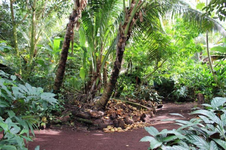 Paradise Eco Village Pahoa Bagian luar foto