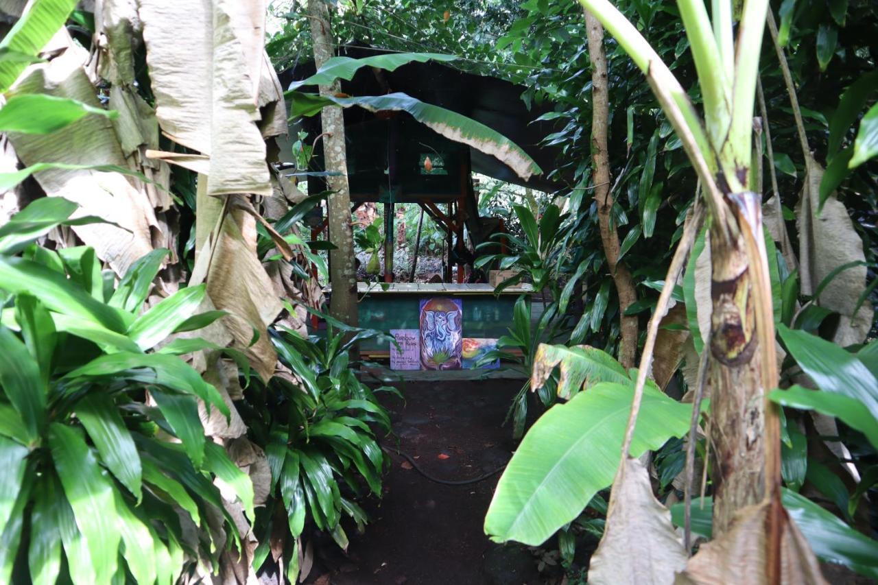 Paradise Eco Village Pahoa Bagian luar foto