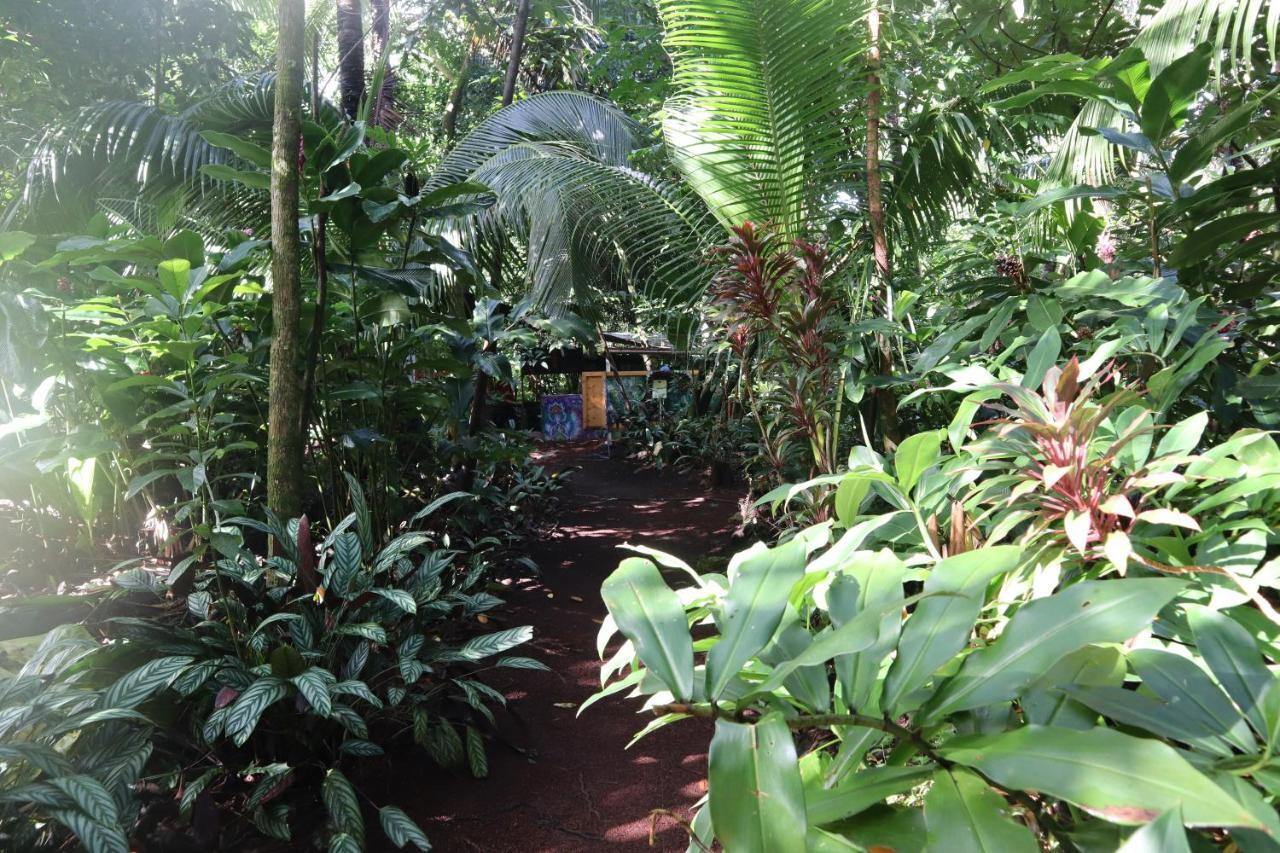 Paradise Eco Village Pahoa Bagian luar foto