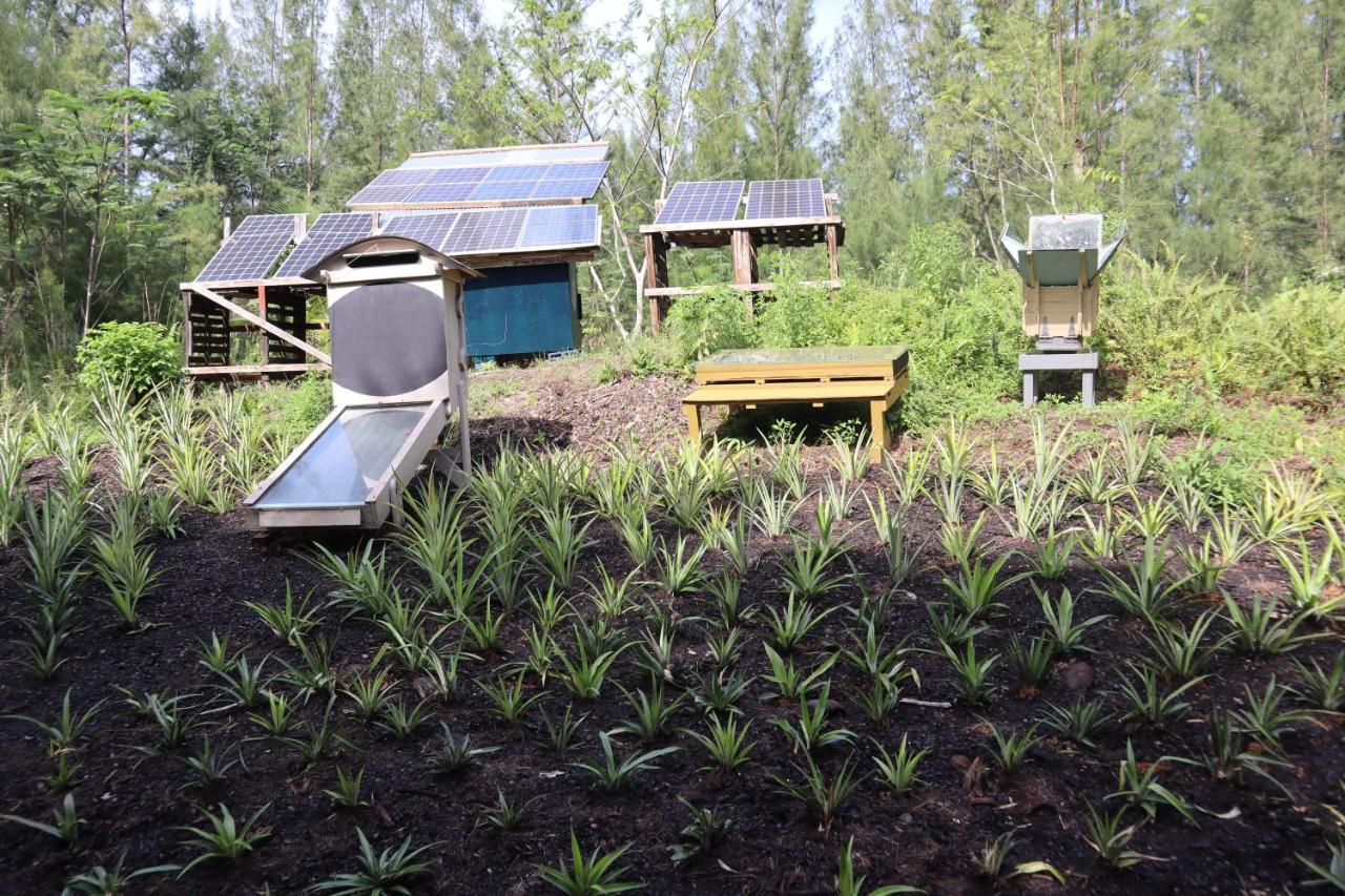 Paradise Eco Village Pahoa Bagian luar foto