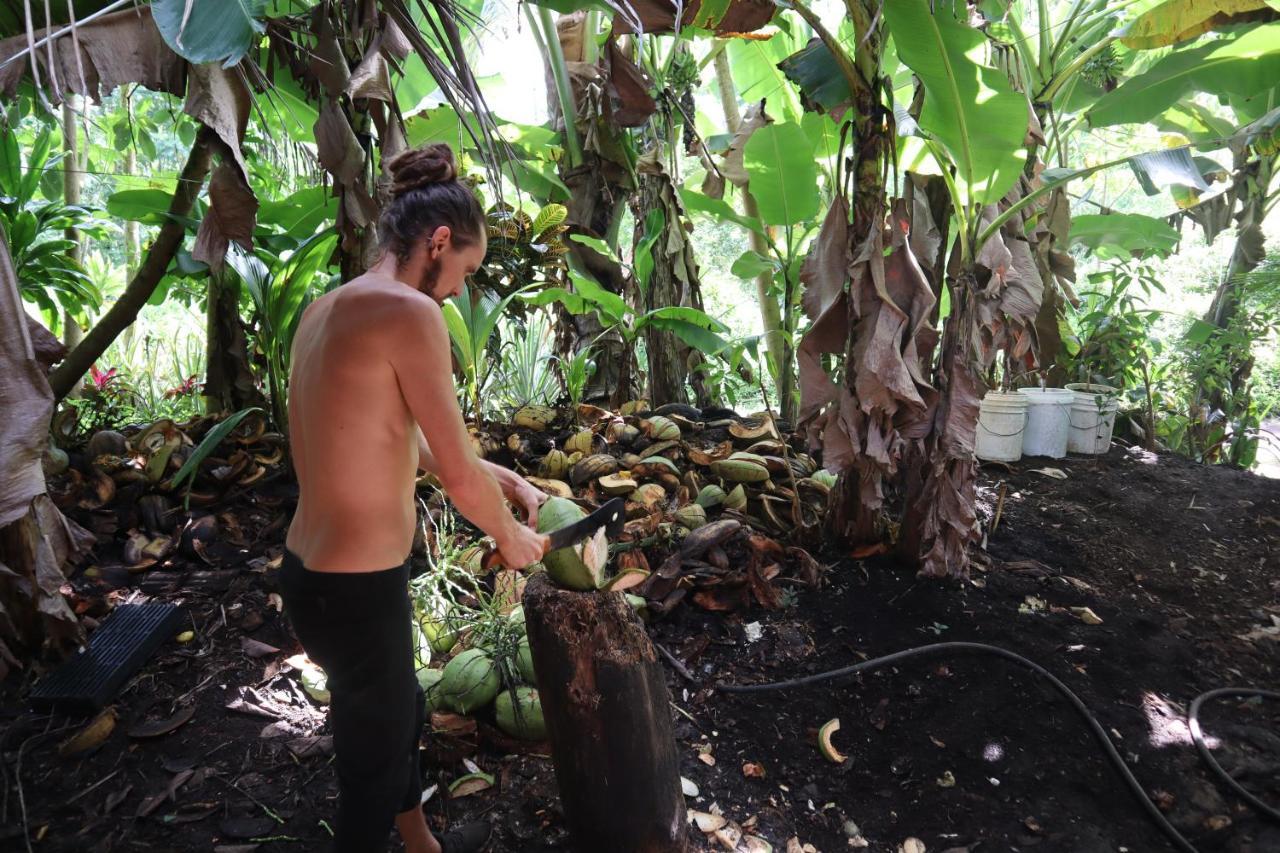 Paradise Eco Village Pahoa Bagian luar foto