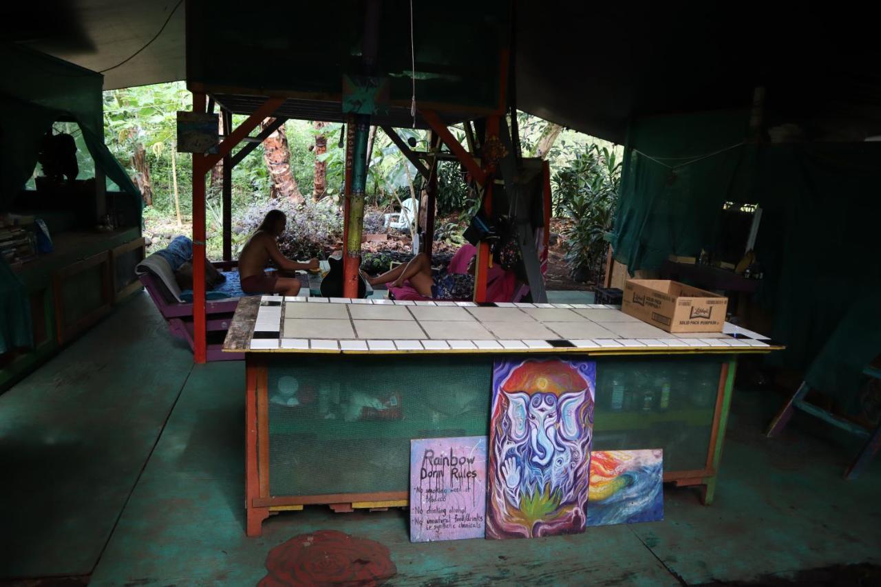 Paradise Eco Village Pahoa Bagian luar foto