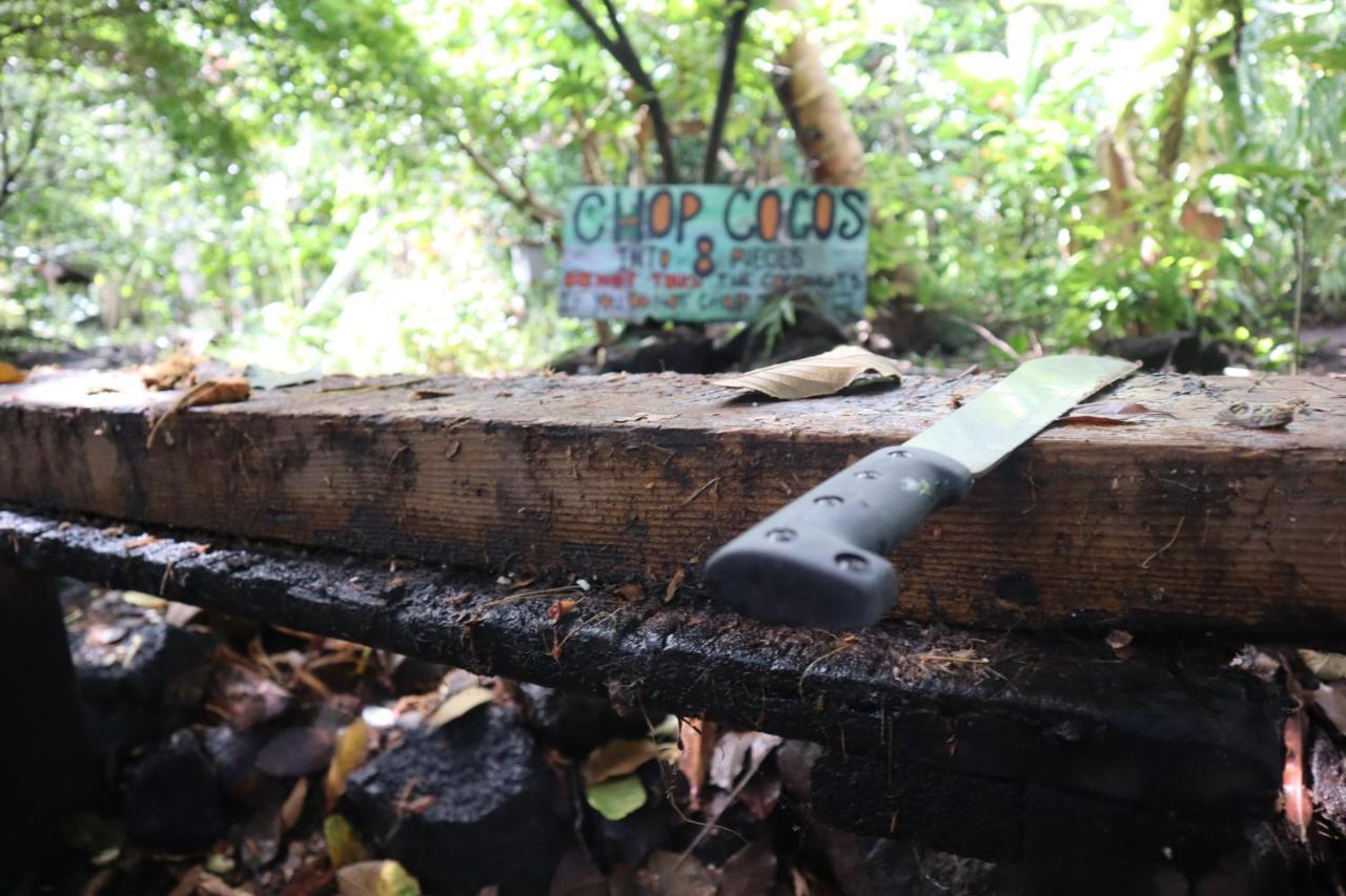 Paradise Eco Village Pahoa Bagian luar foto